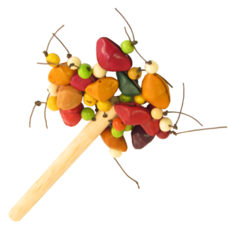 Sonajeros de Charcha Semilla Cerrada