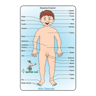 Esquema Corporal Niño Desnudo